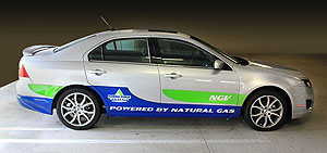 Vehicle Wrap